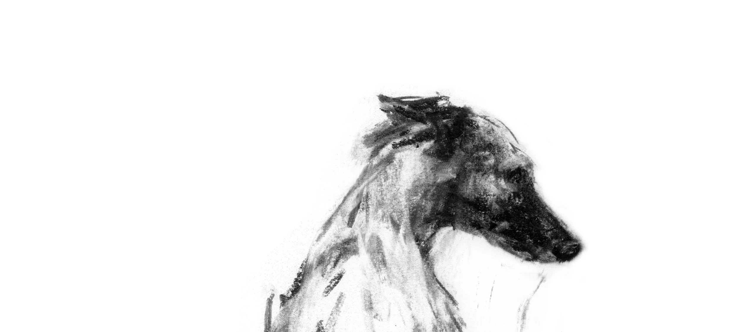 Dog Life Drawing