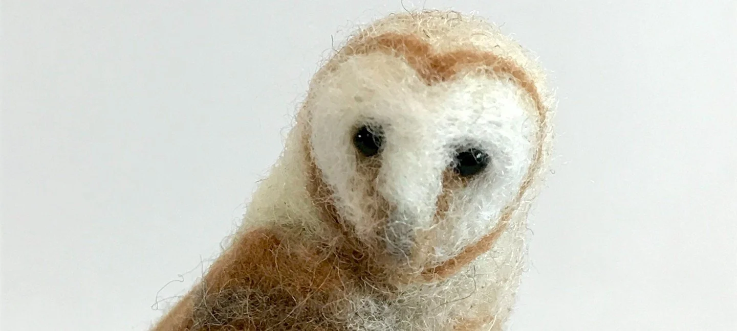Autumn Barn Owl Needle Felting 