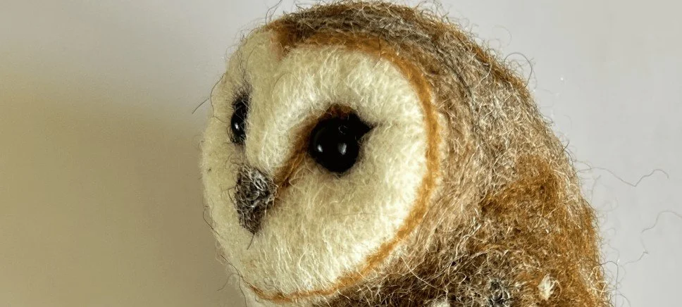 BANNER Owl 2.jpg