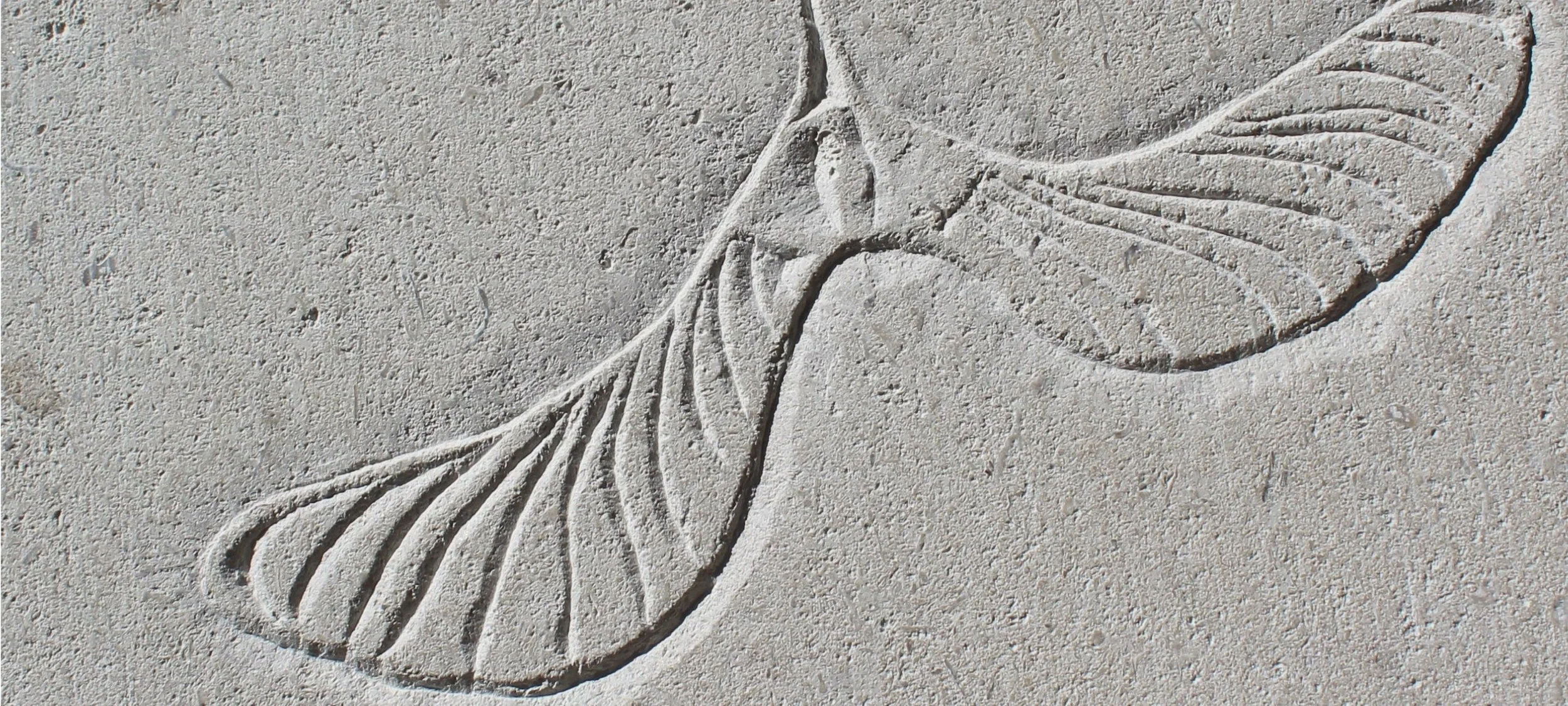 BANNER New Brewery Arts Stone Carving Taster - Carve a Sycamore Seed in Portland Stone - Ann-Margreth Bohl.jpg