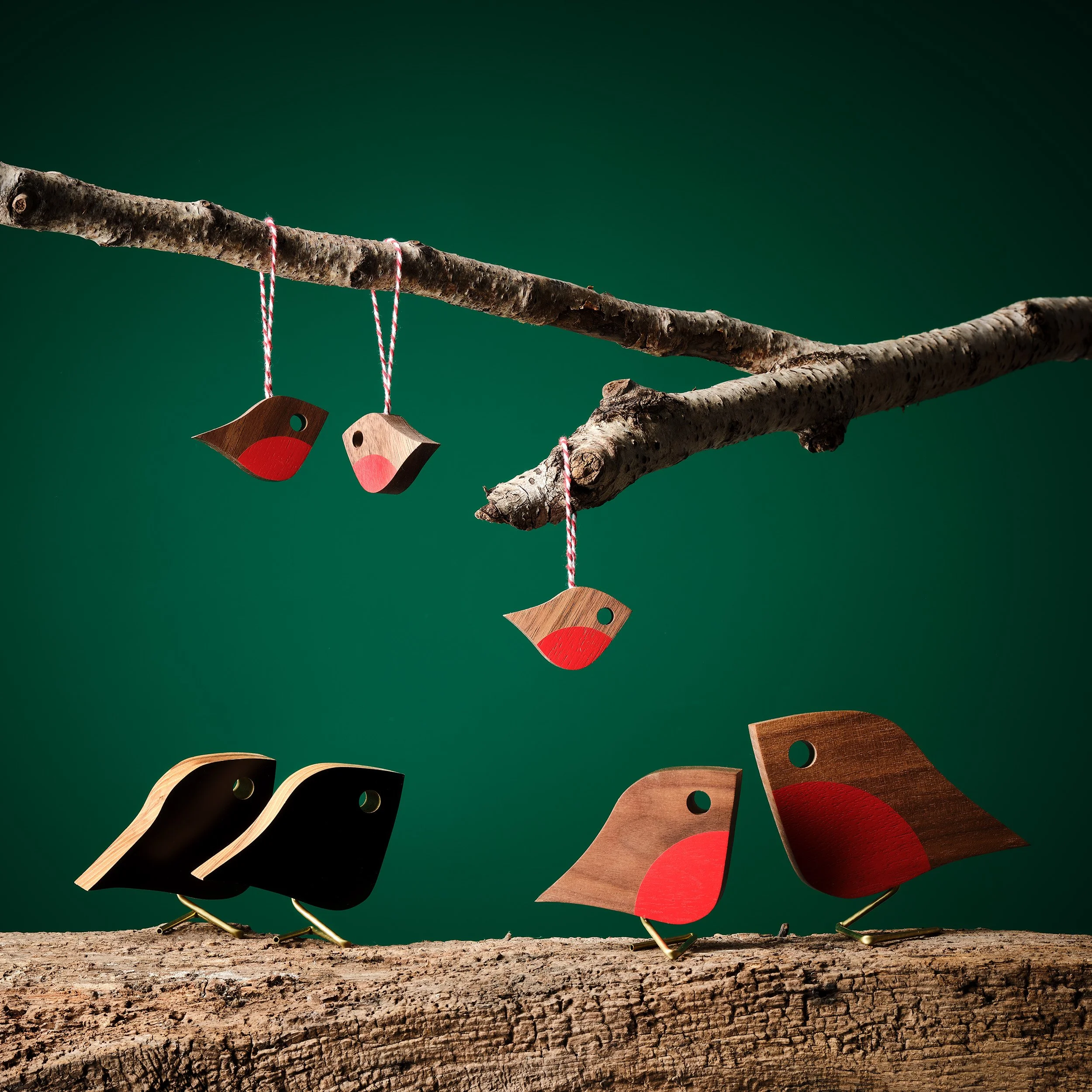 Robins by MuffatPrague.jpg