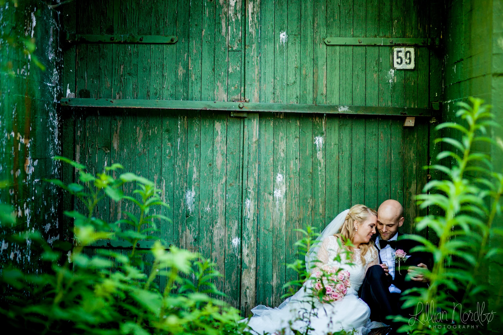 Fotograf Lillian Nordbø - tina+cato-27.jpg