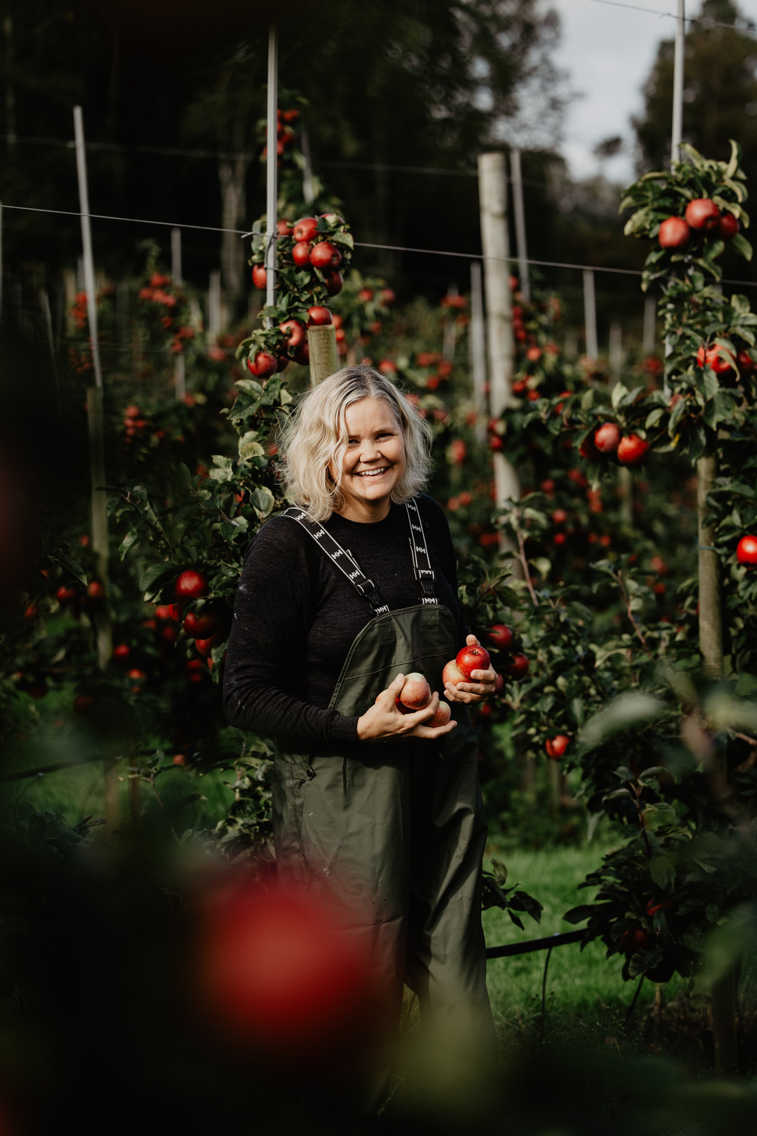 Epleriet fruktgård-Helgøy.kommersiell fotograf