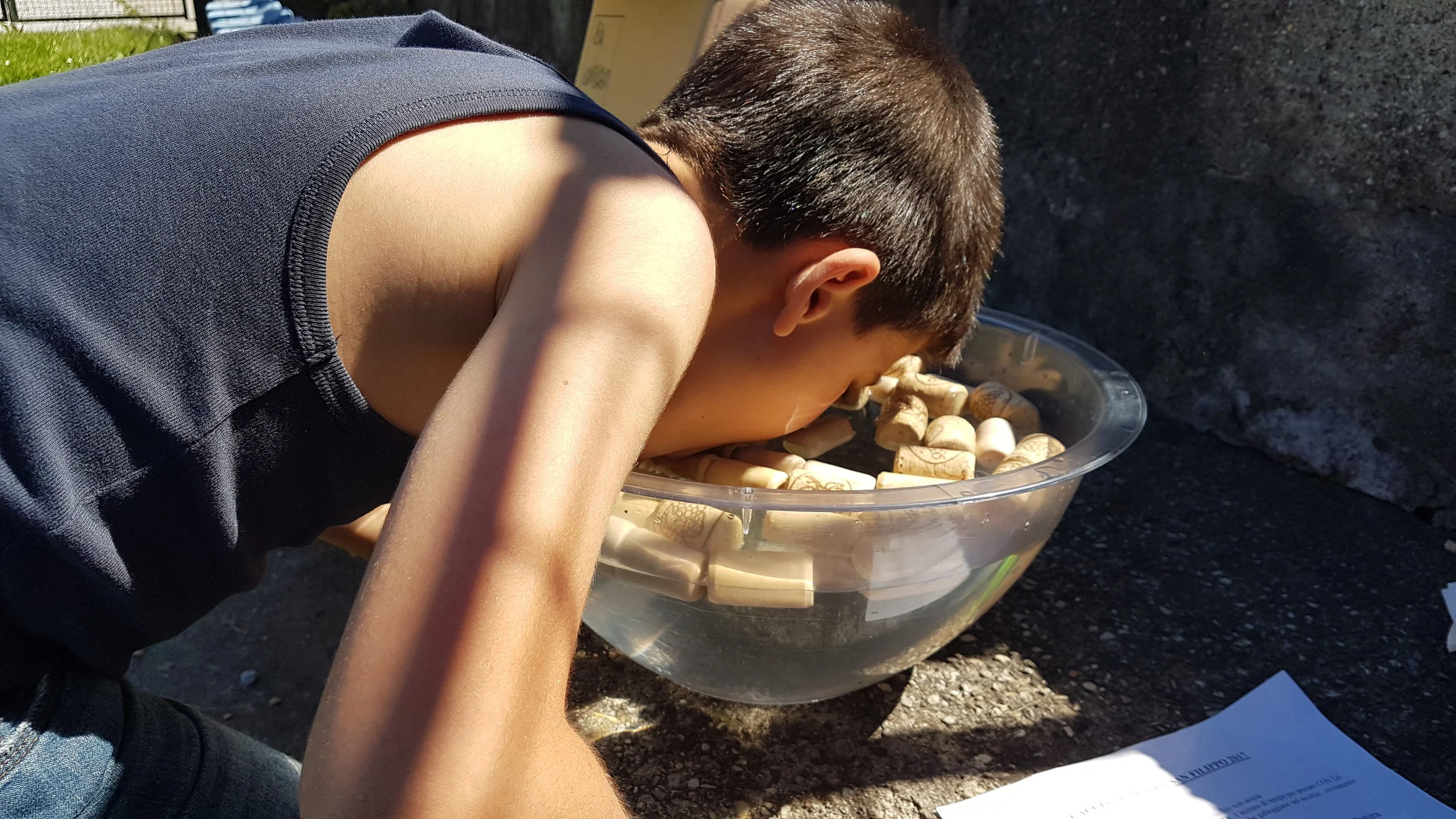 20170521_154621.jpg