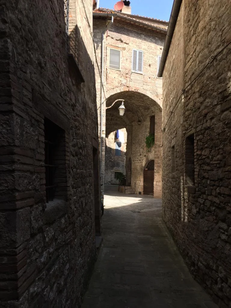 3ecdf290-d243-4ca7-aa85-1c95e20addb2.jpg