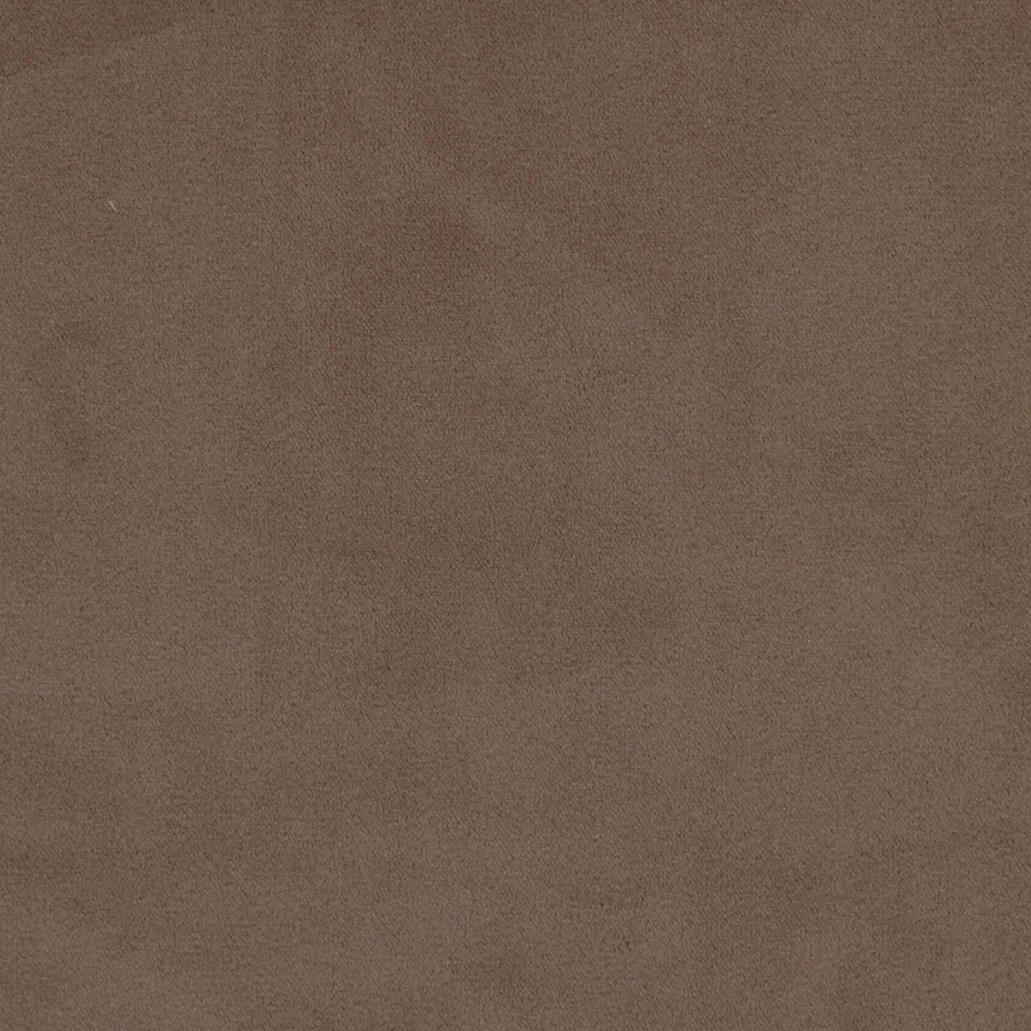 A3004 CUMIN
