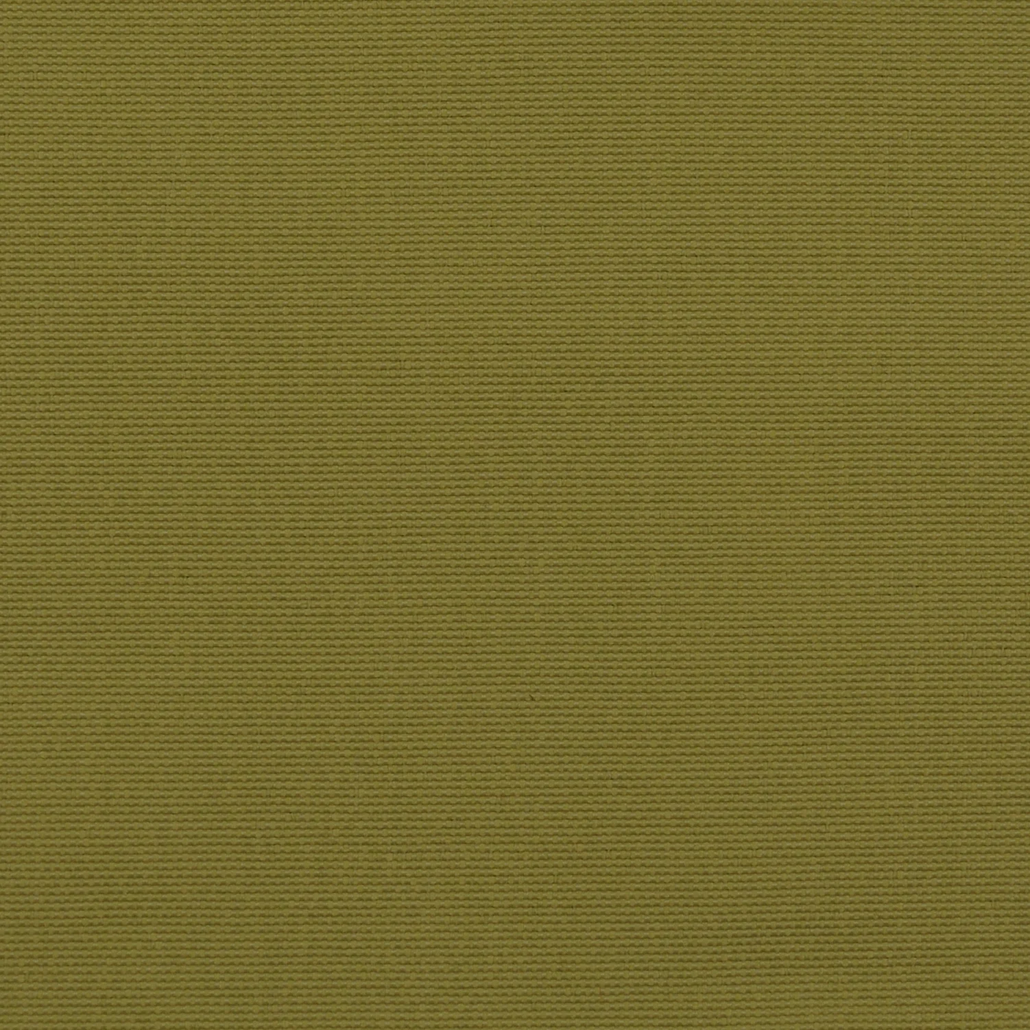 BD-12 AVOCADO