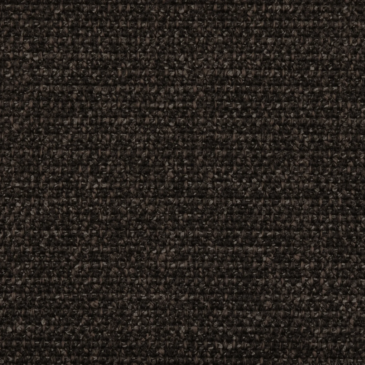 AE1539 BARK