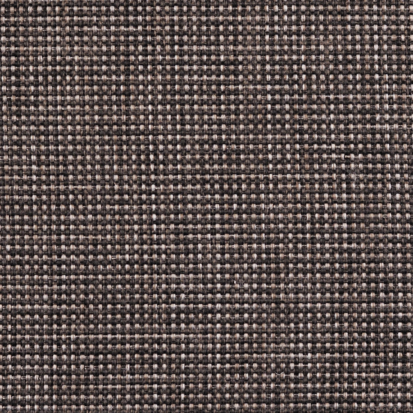 AE13-204 STONE