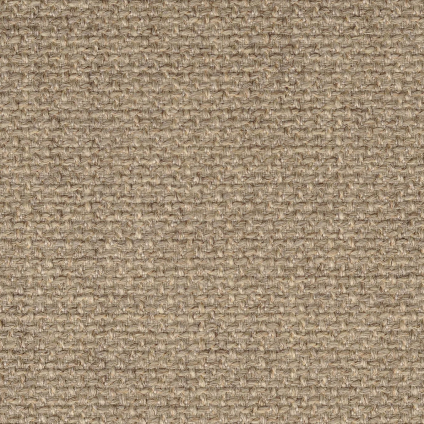 613 BARLEY