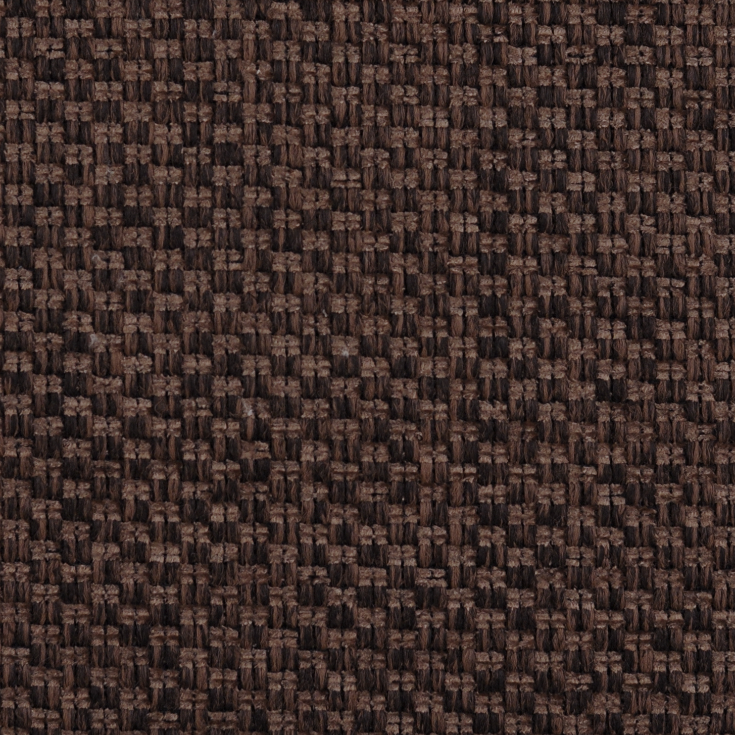 AE13-005 BARK