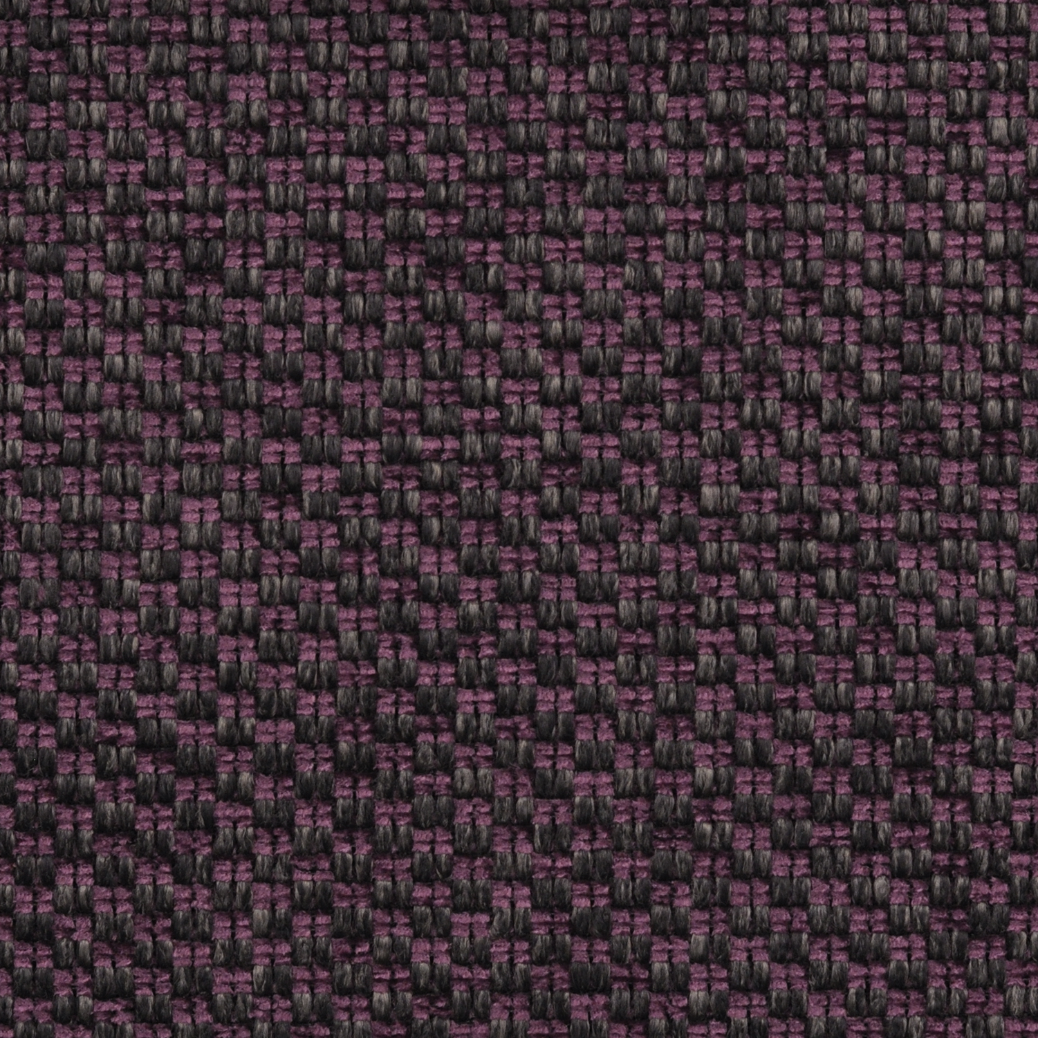 AE13-021 PLUM
