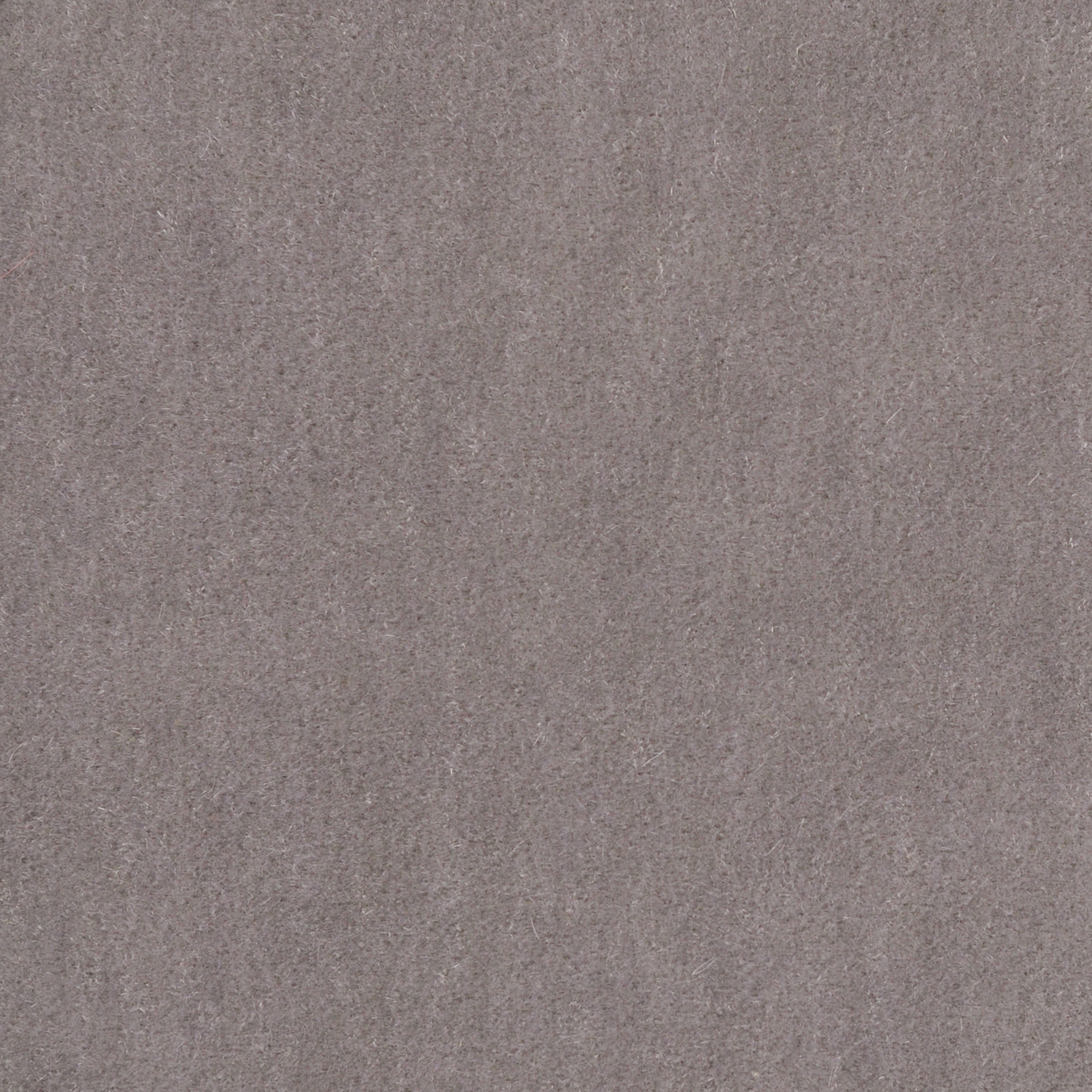 430 DOVE GRAY