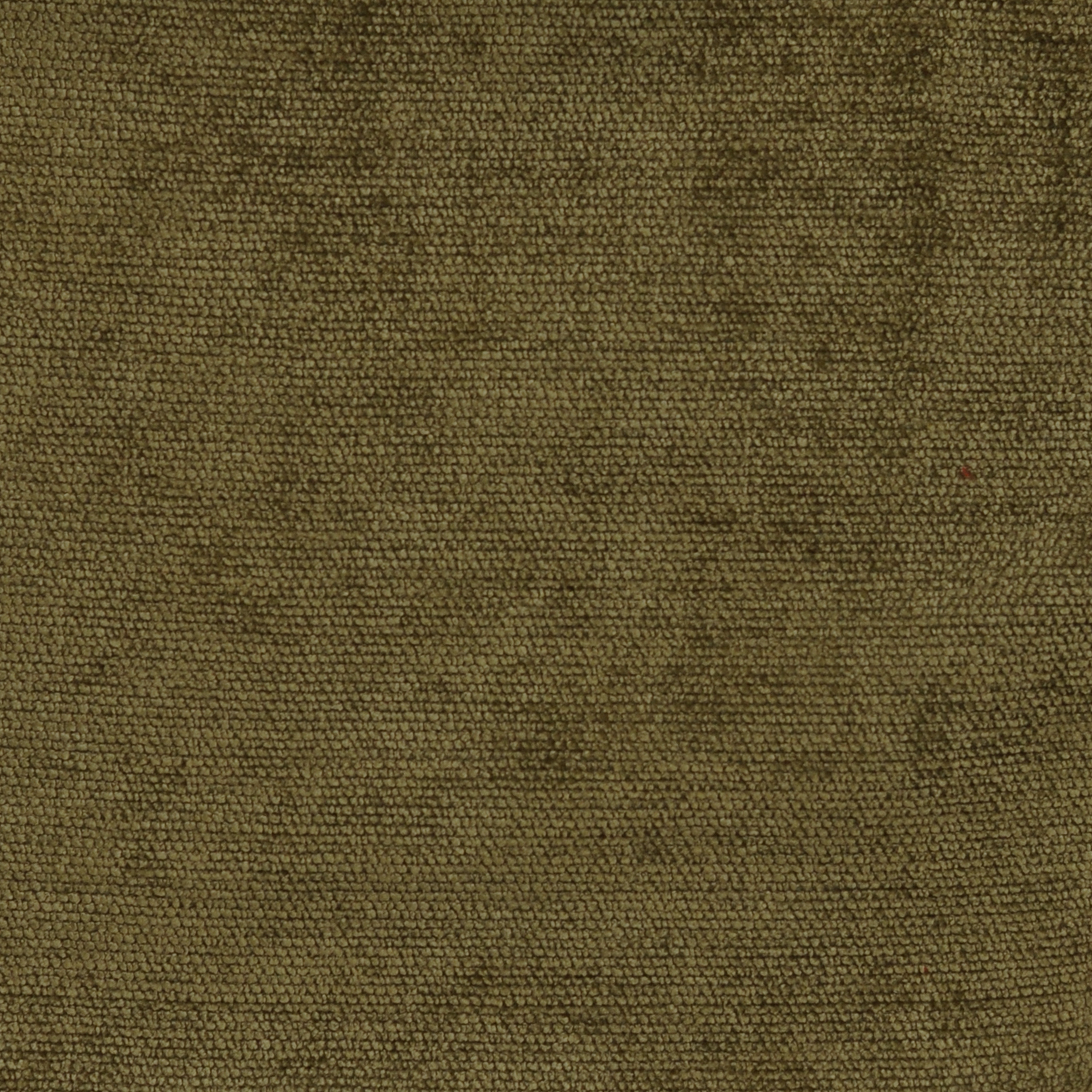 AE1409 MOSS