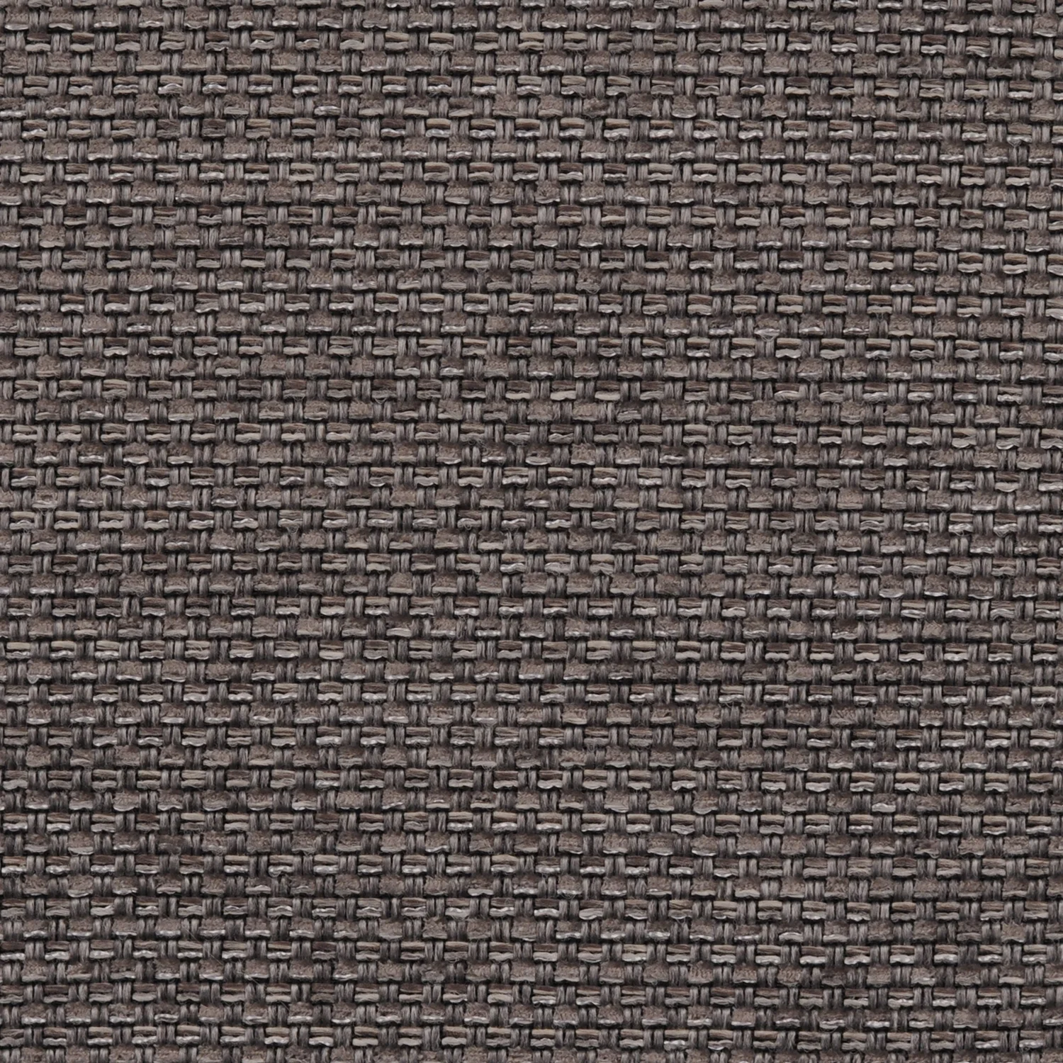 AE1516 SARDINE