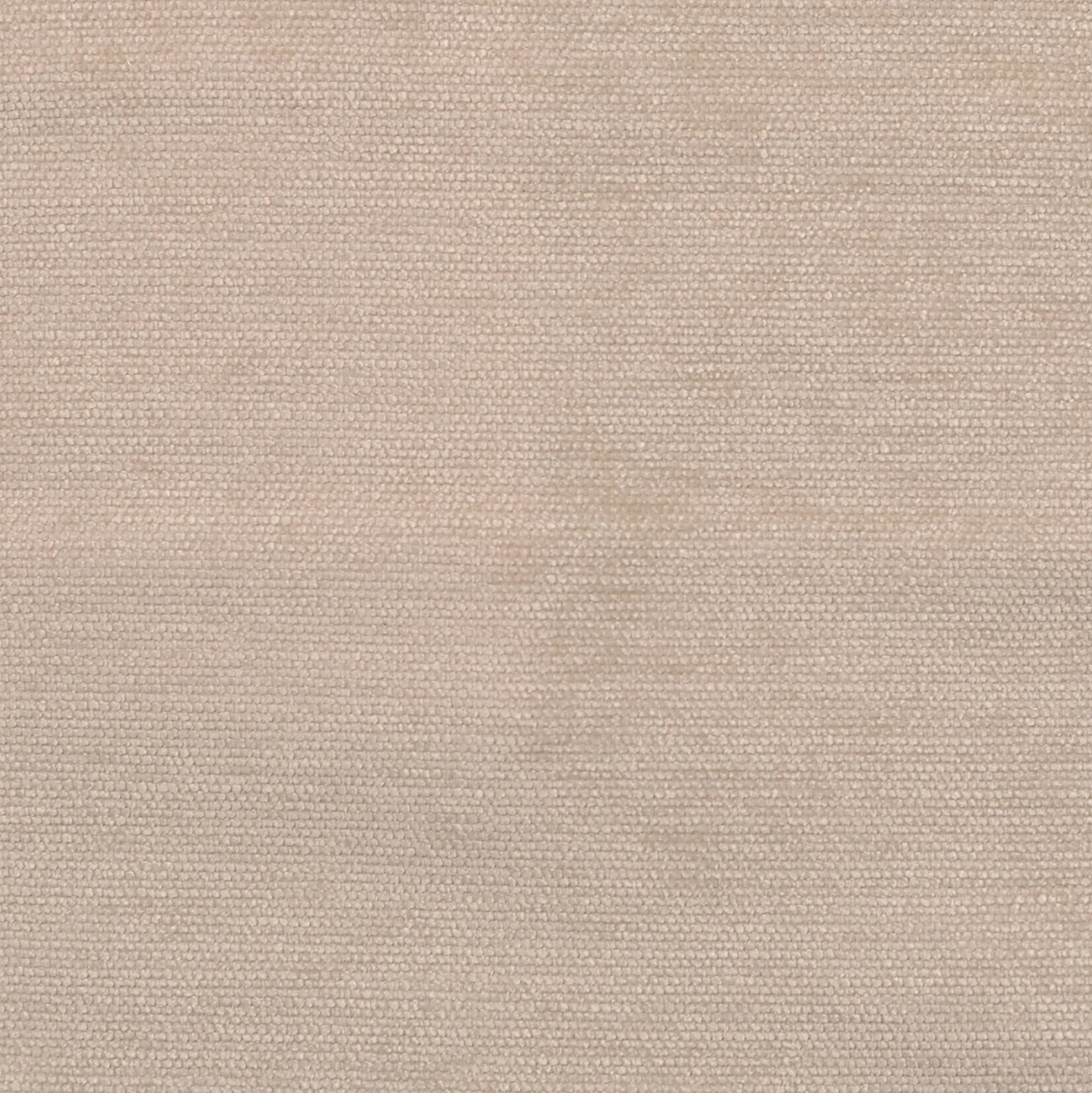 AE1401 OYSTER
