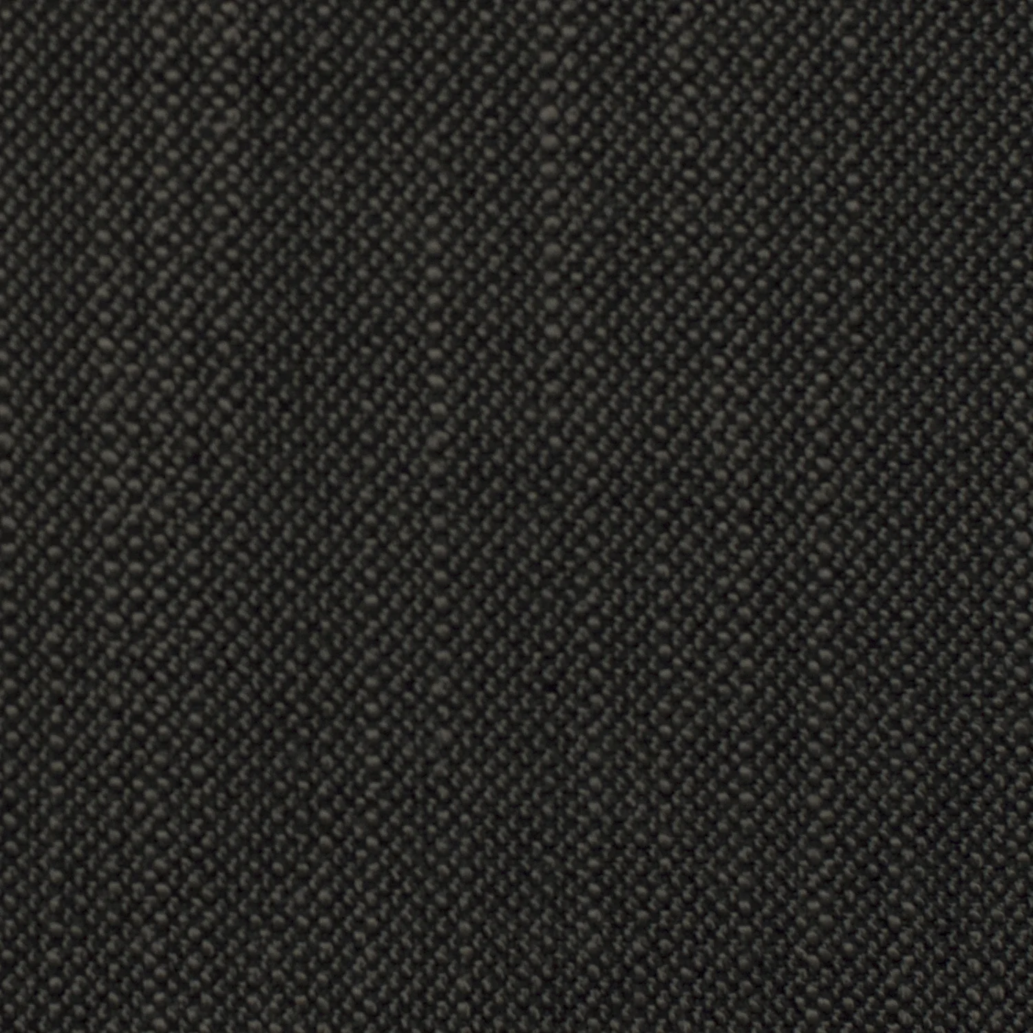 SDN-04 COLLARD GREENS