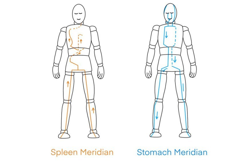 The Meridian System & Yin Yoga | An Introduction