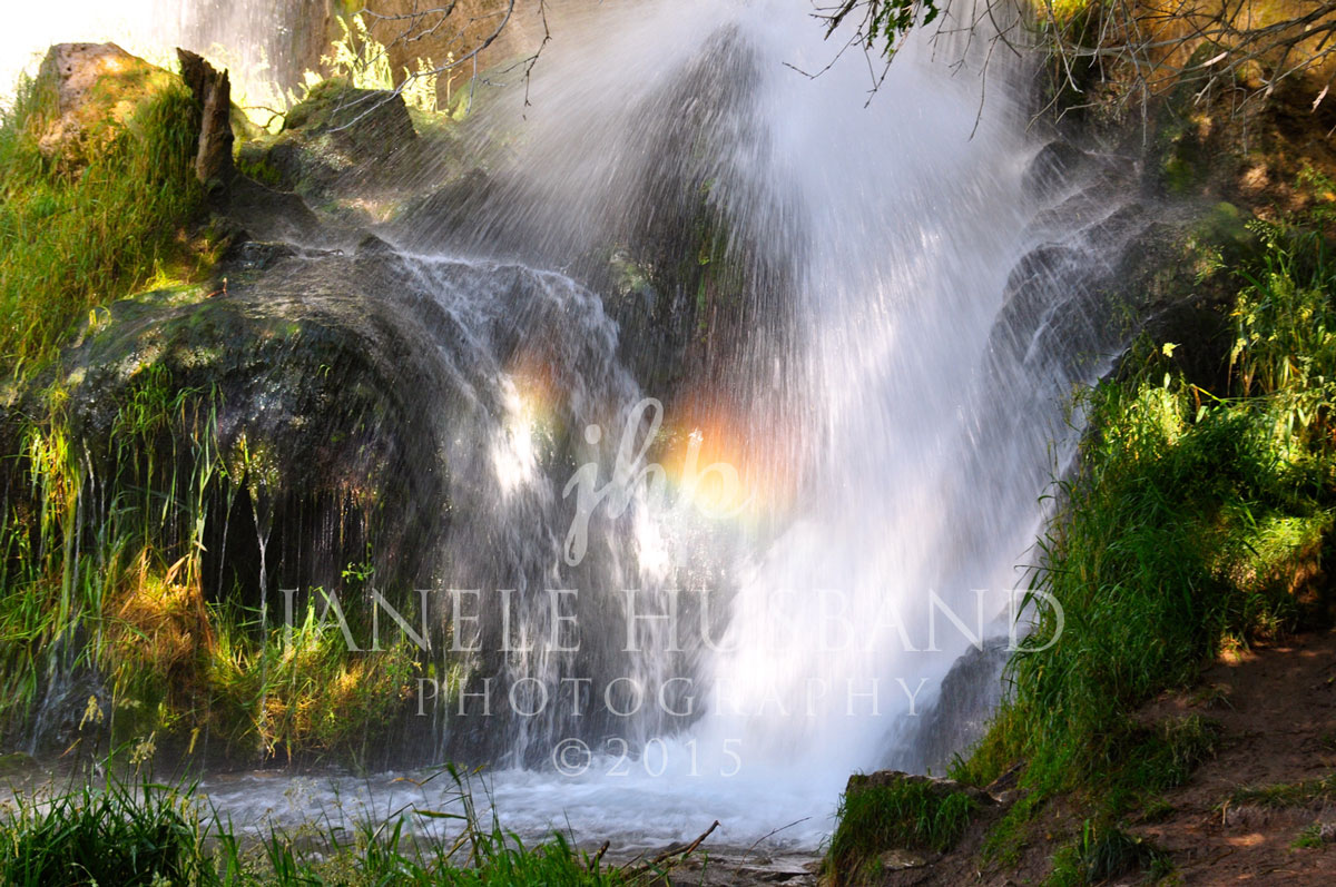 The-Light-Within-DSC_0212.jpg-899KB.jpg