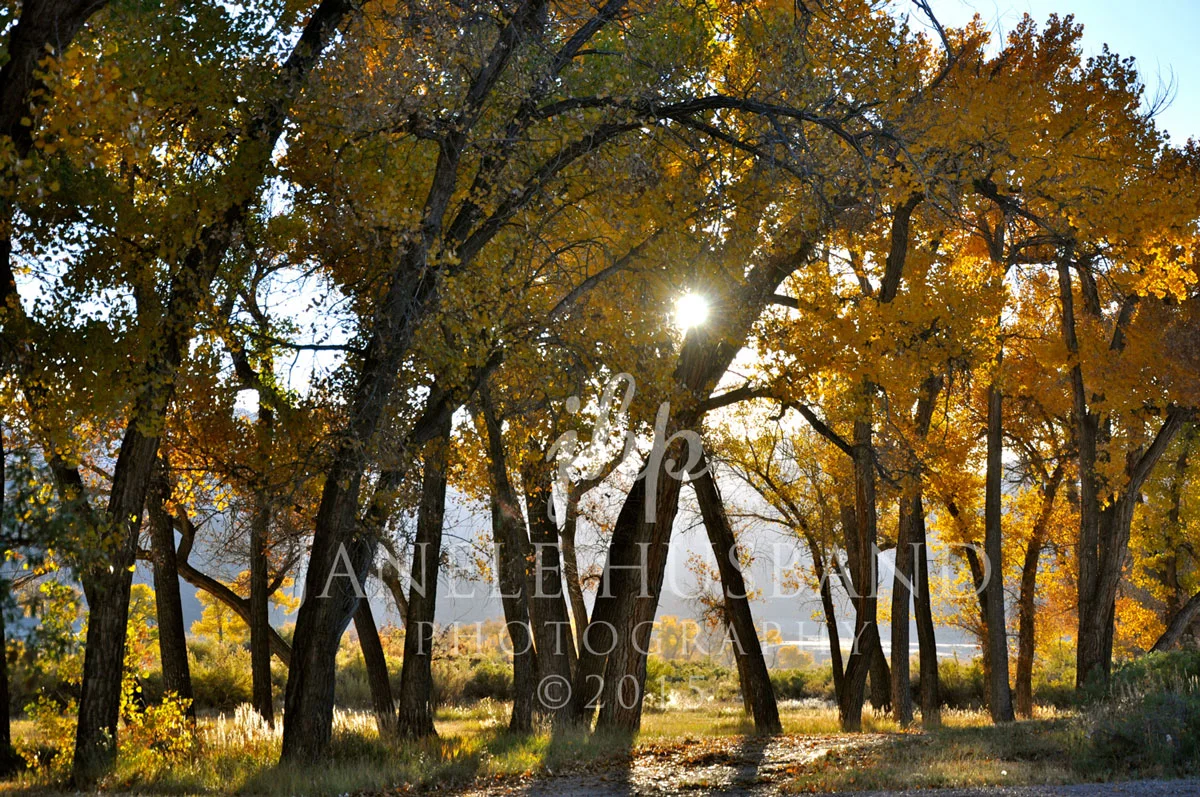 Radiant-Light-DSC_7171.jpg