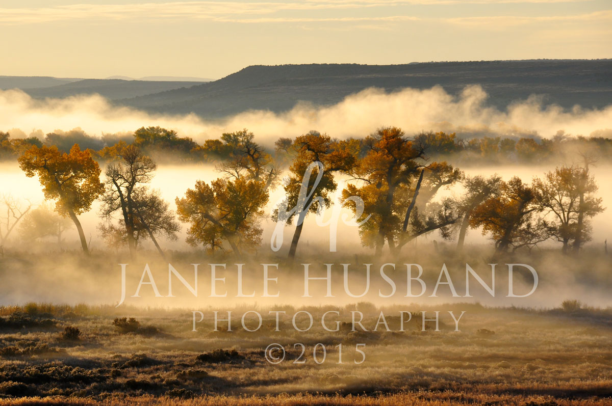 View-from-Horseshoe-Bottom-Overlook---Brns-Prk-Natl-Wldlf-Rfg-DSC_4712.jpg