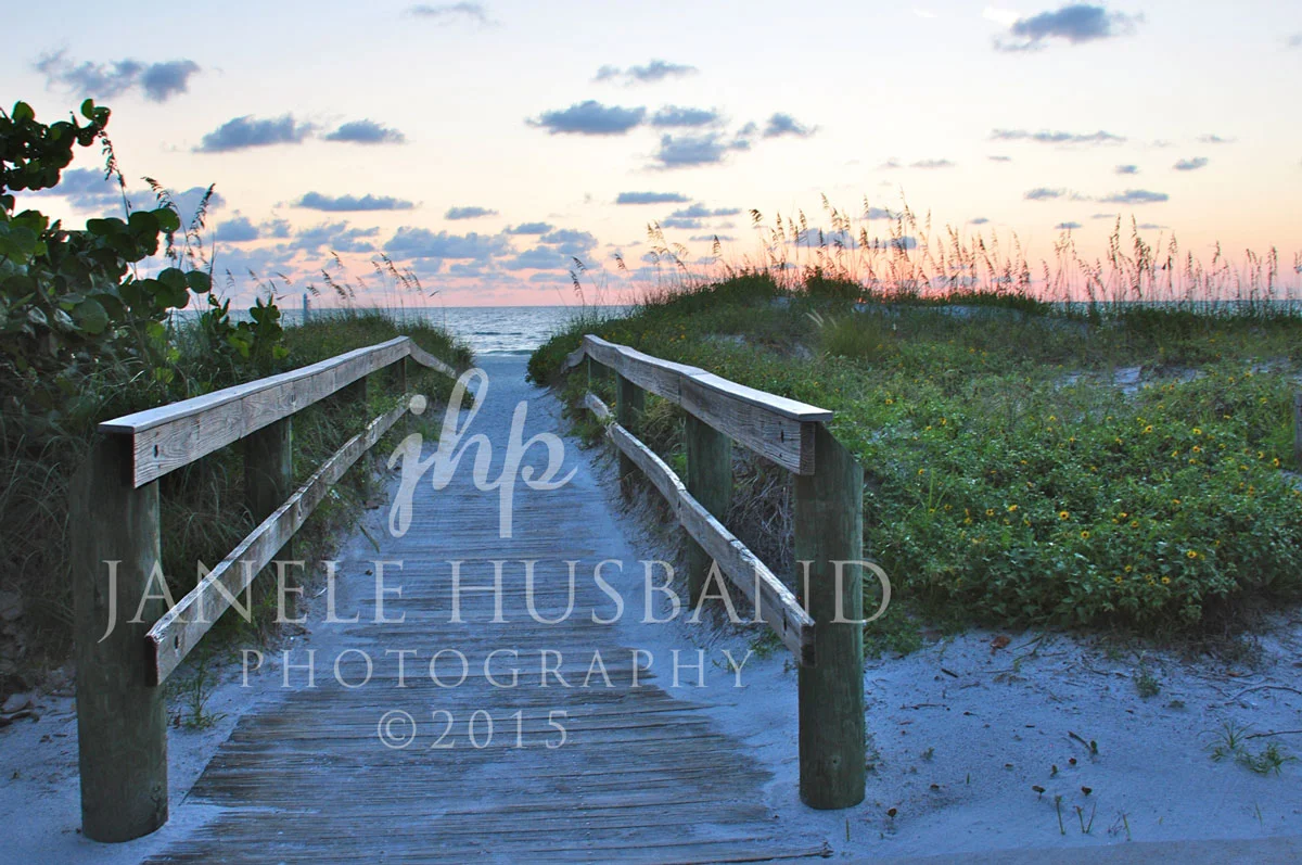 Indian-Shores,-FL-8.229.2013-DSC_7892.jpg