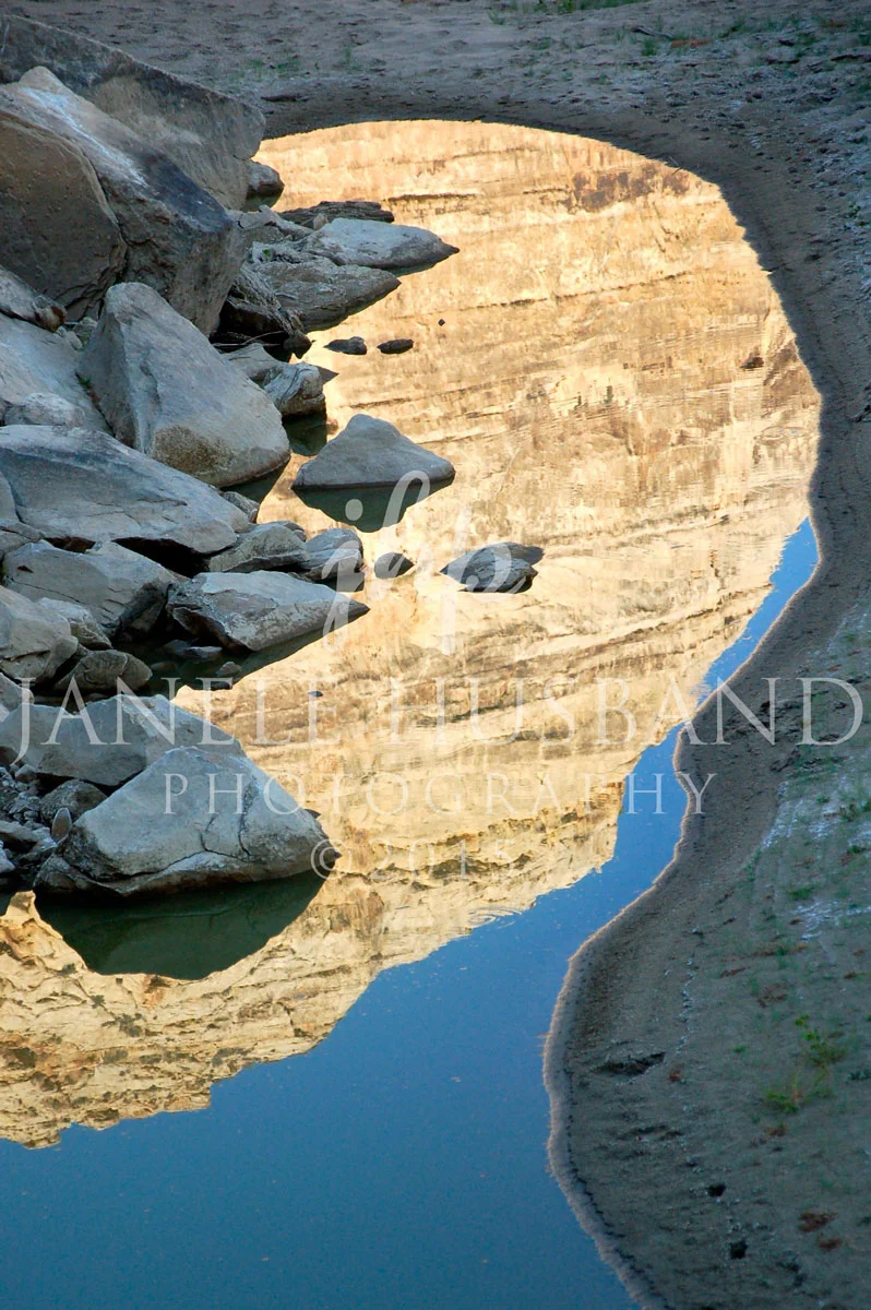 Nature's-Illusion-DSC_1249.jpg