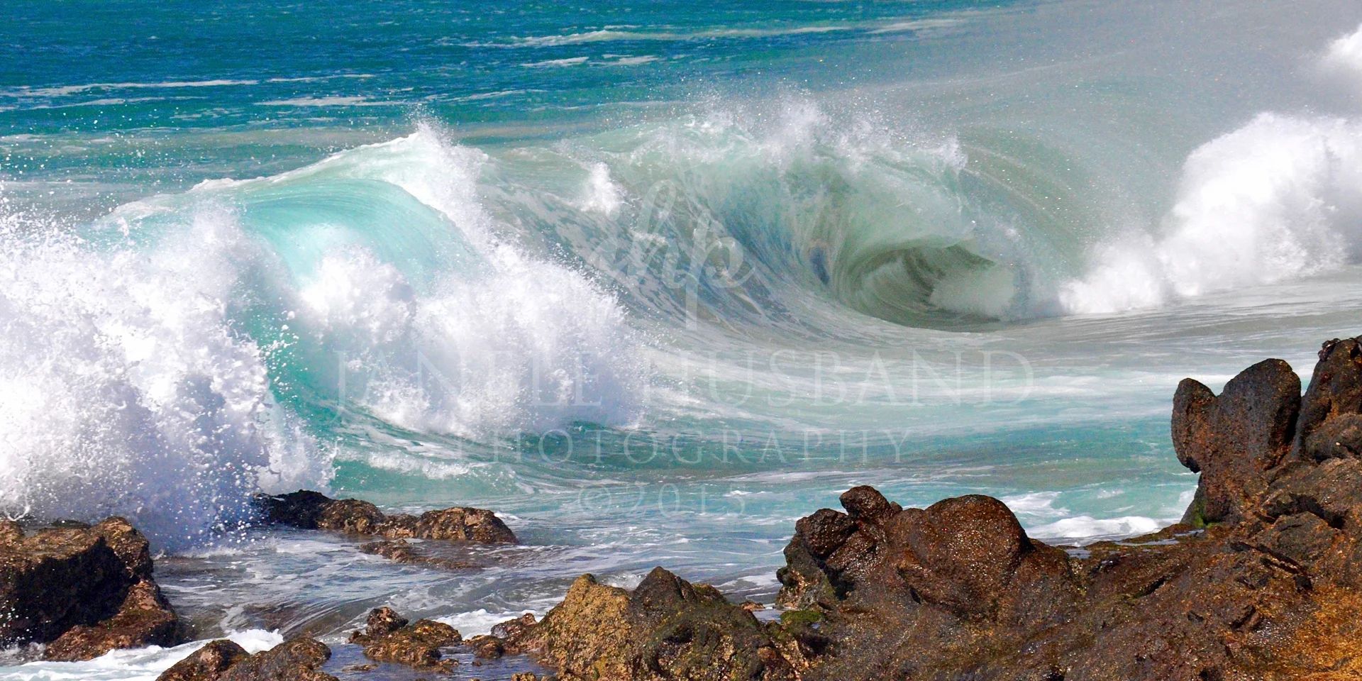 Spring Breakers DSC_2286.jpg 2x1.jpg