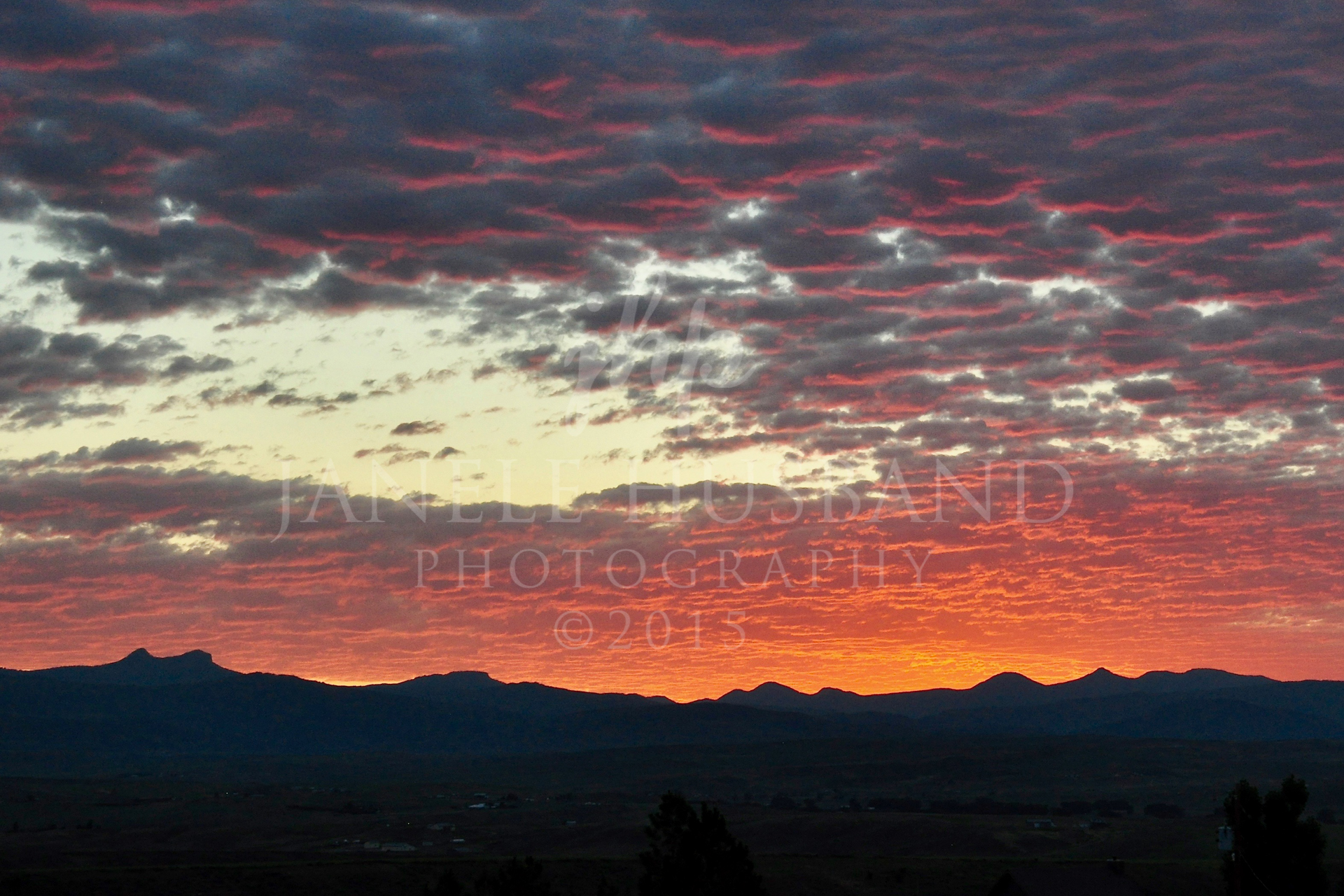 Summer Sunrise DSC_6980.jpg