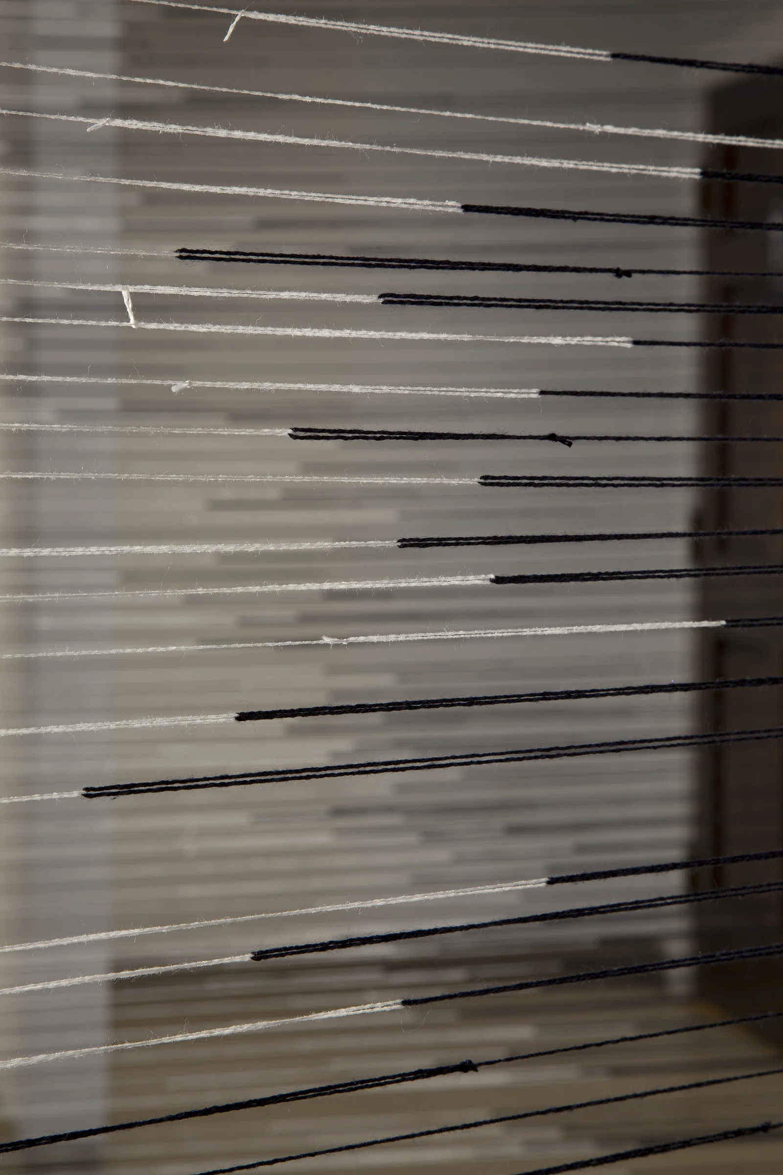 takerootdetail3.jpg