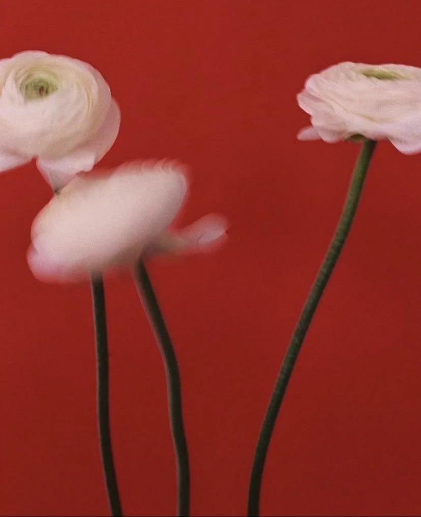 Акции в марте