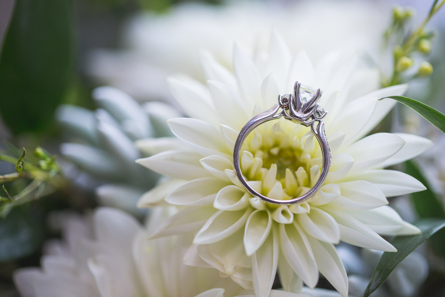 Michigan-Wedding-Photographer-Light-Garden-Photography-9.jpg