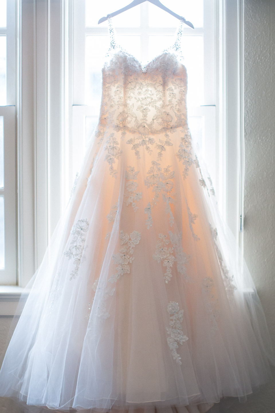 Michigan-Wedding-Photographer-Light-Garden-Photography-10.jpg