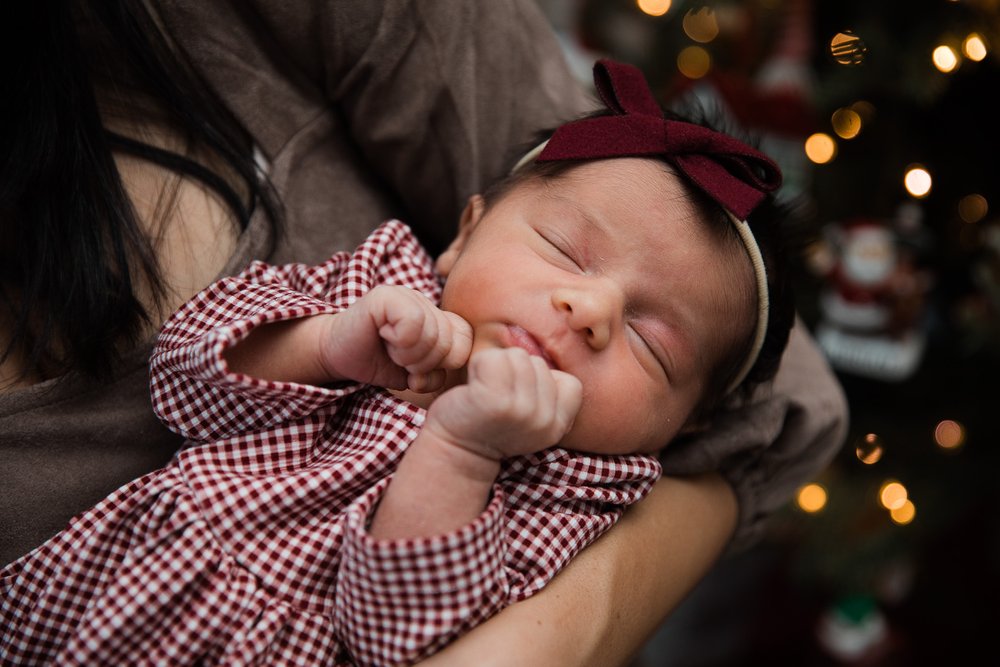 005_Michigan_Family_Photographer_Christmas_Newborn.jpg