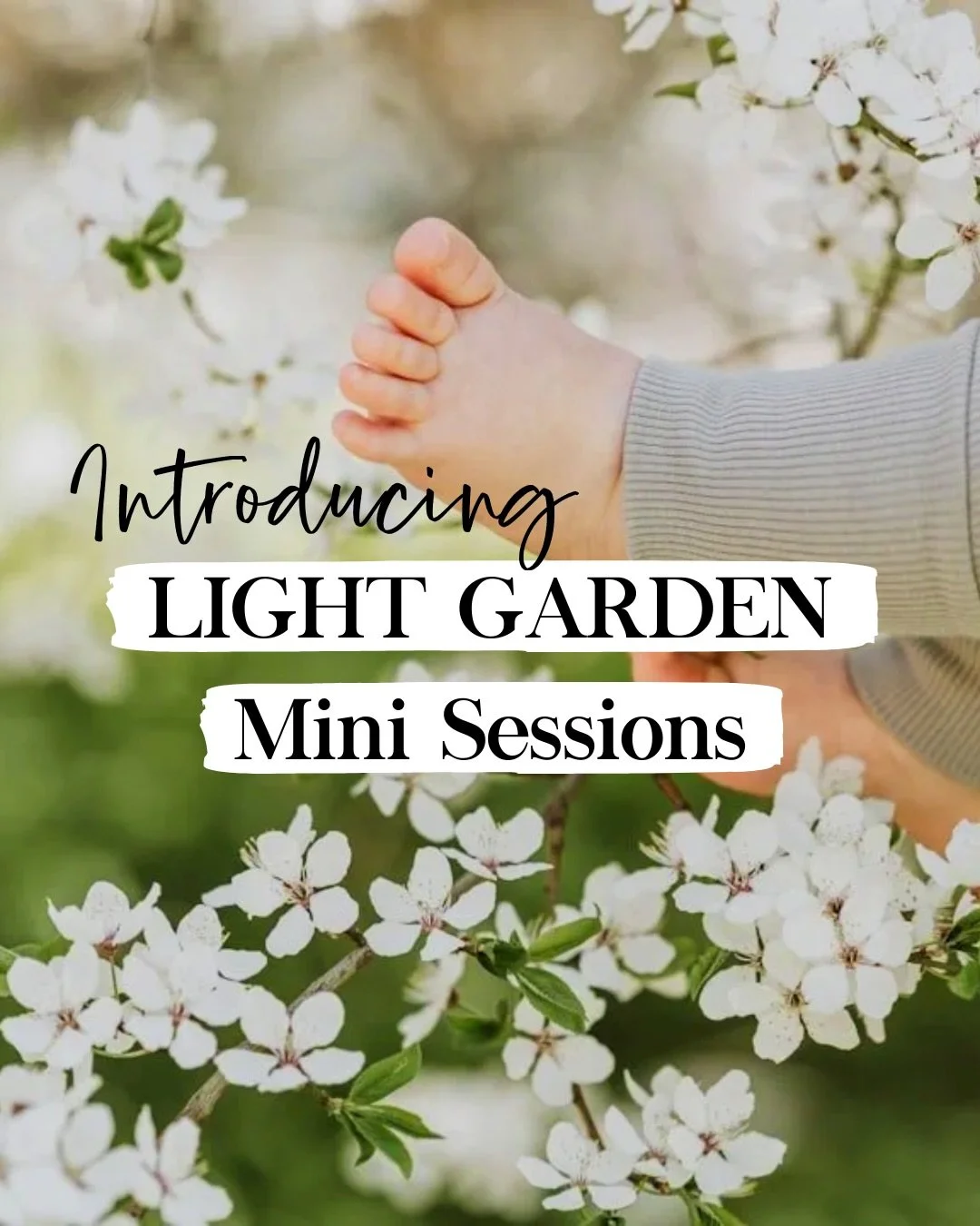 🪴 The Details Behind Our Mini Sessions...

✨ WHO is this for?

For you and the people you love most.

The new love. The growing bump. The baby who suddenly isn&rsquo;t so baby anymore.

✨ WHAT is a mini session?

A simple, heartfelt milestone sessio