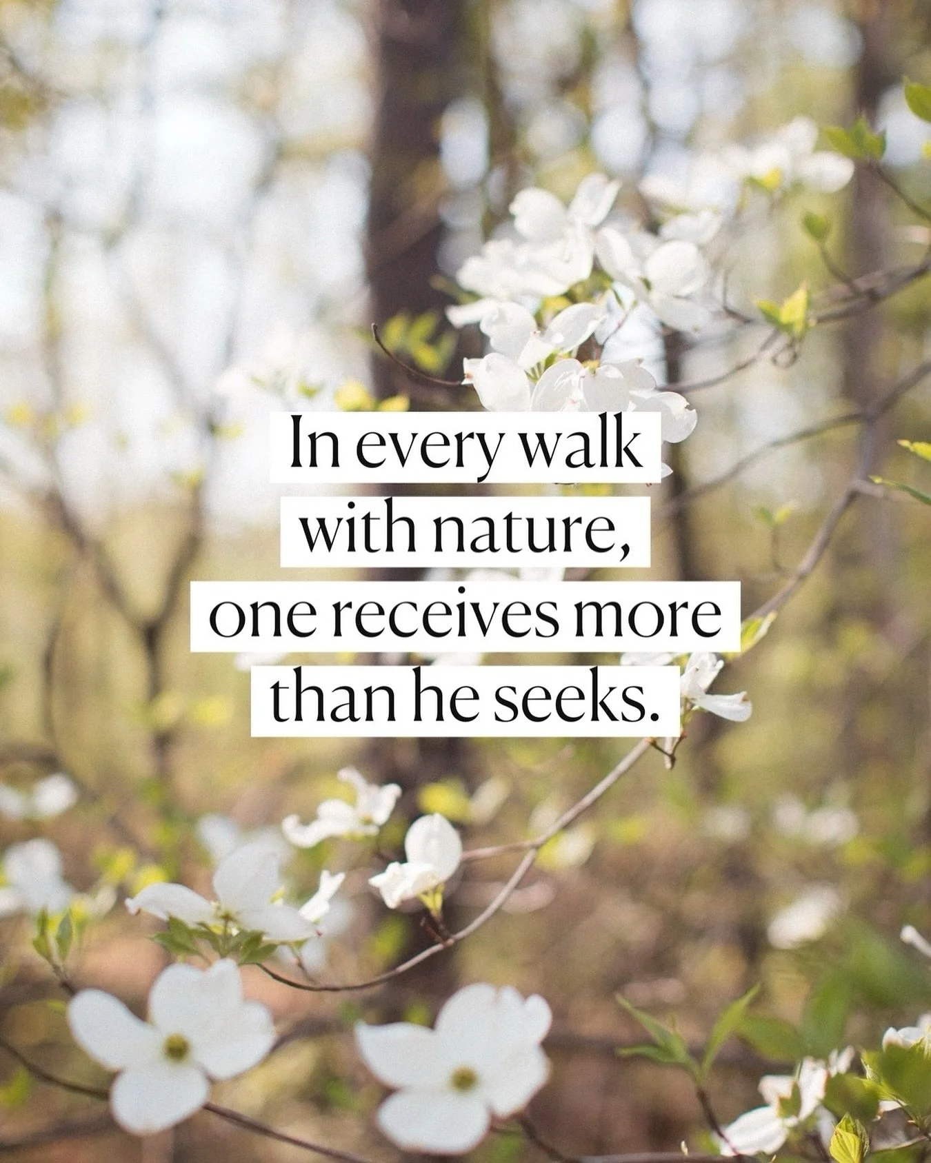 &ldquo;In every walk with nature,
one receives more than he seeks.&rdquo;
&mdash; John Muir