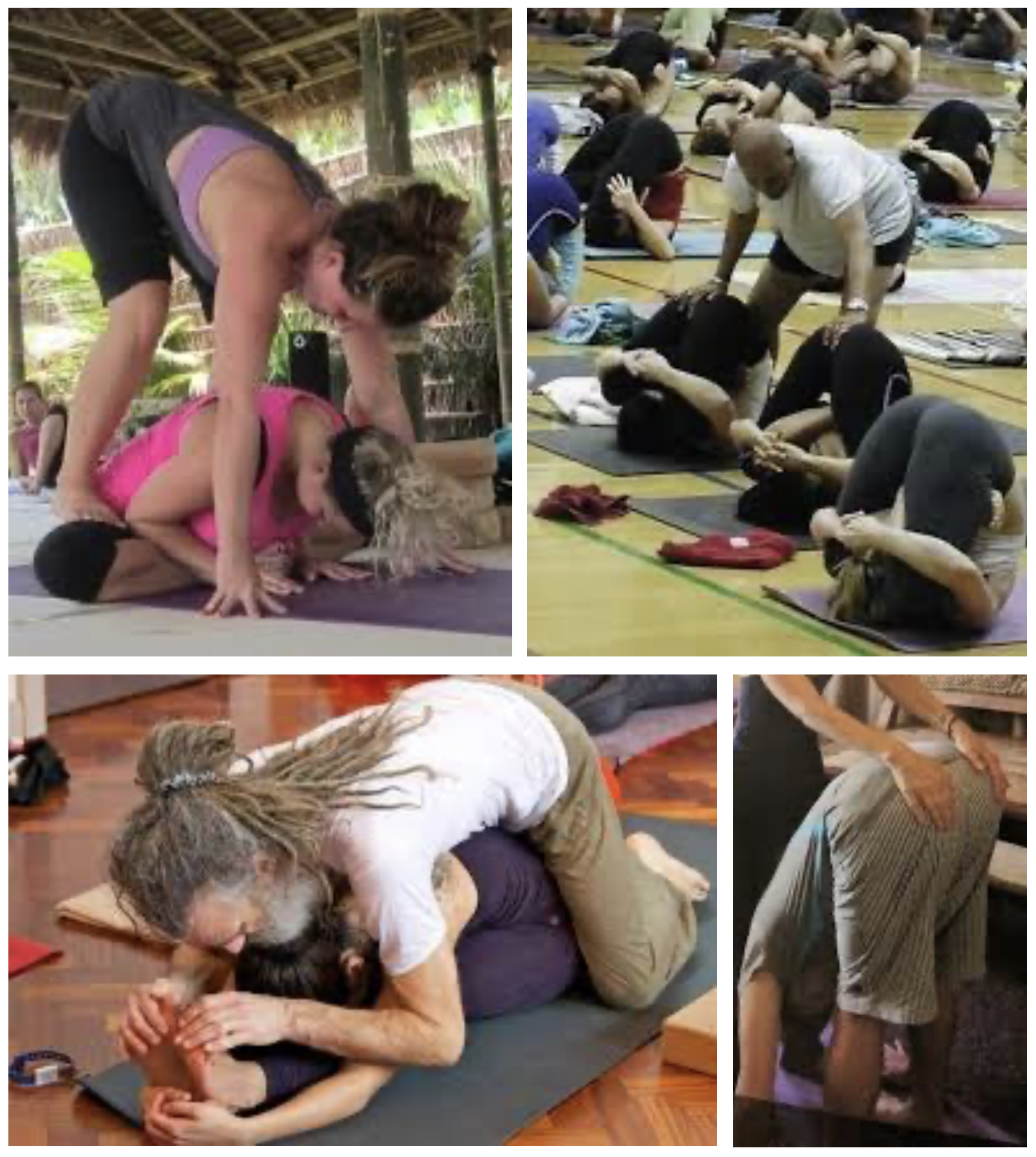 Give Your Yoga Students Real Choices In Their Practice — Hersha Yoga:  Teacher Training, Mentorship