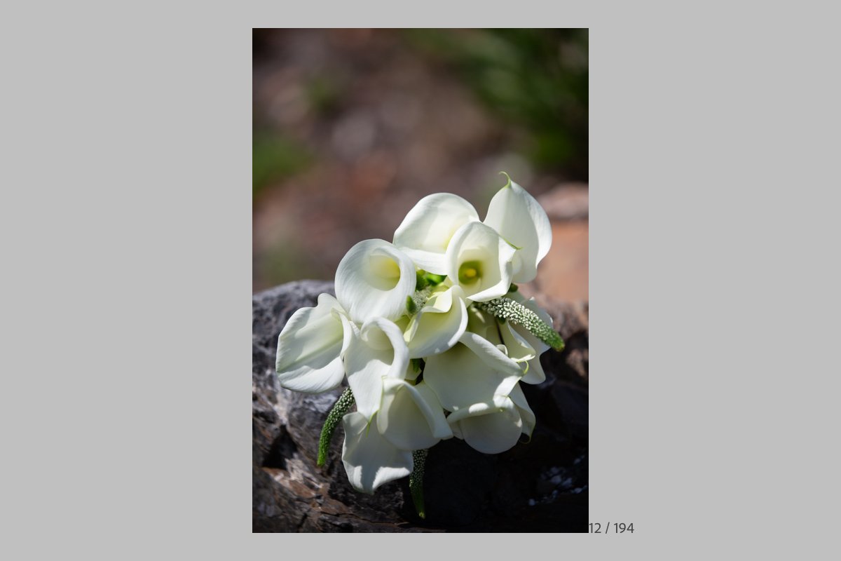 GinaProofs-012.jpg