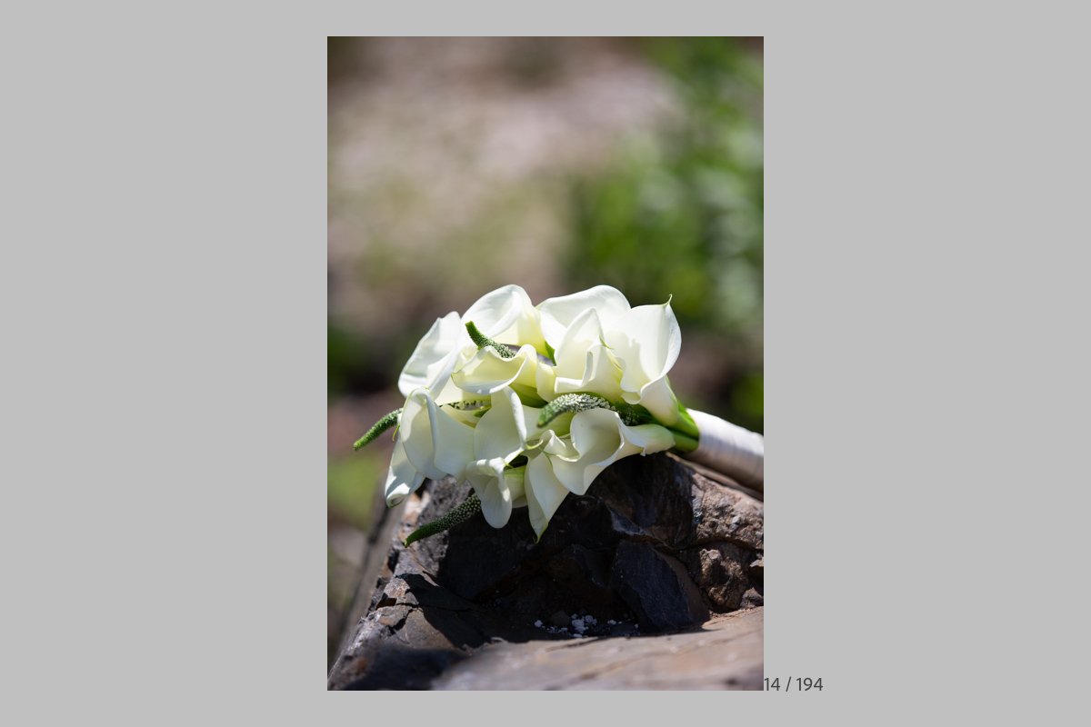 GinaProofs-014.jpg