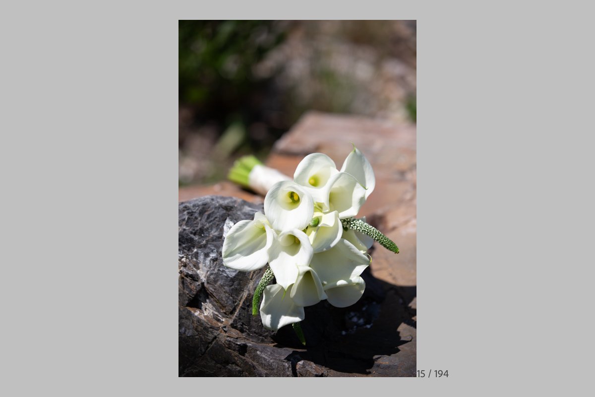 GinaProofs-015.jpg