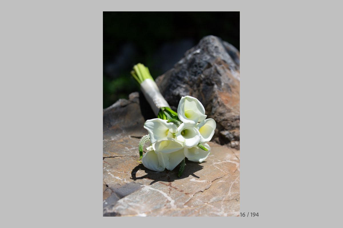 GinaProofs-016.jpg