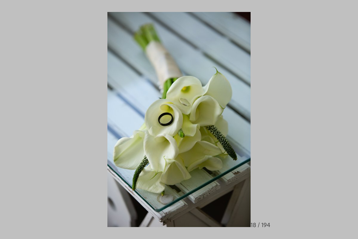 GinaProofs-018.jpg