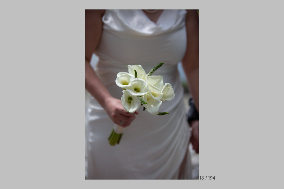 GinaProofs-116.jpg