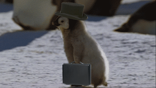 Penguin.gif