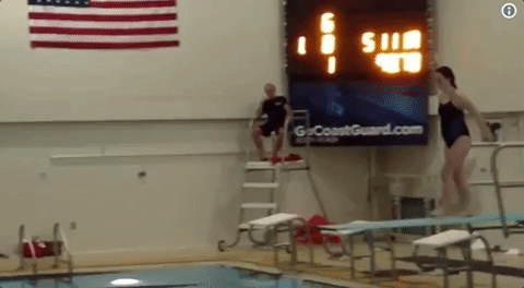 giphy (13).gif