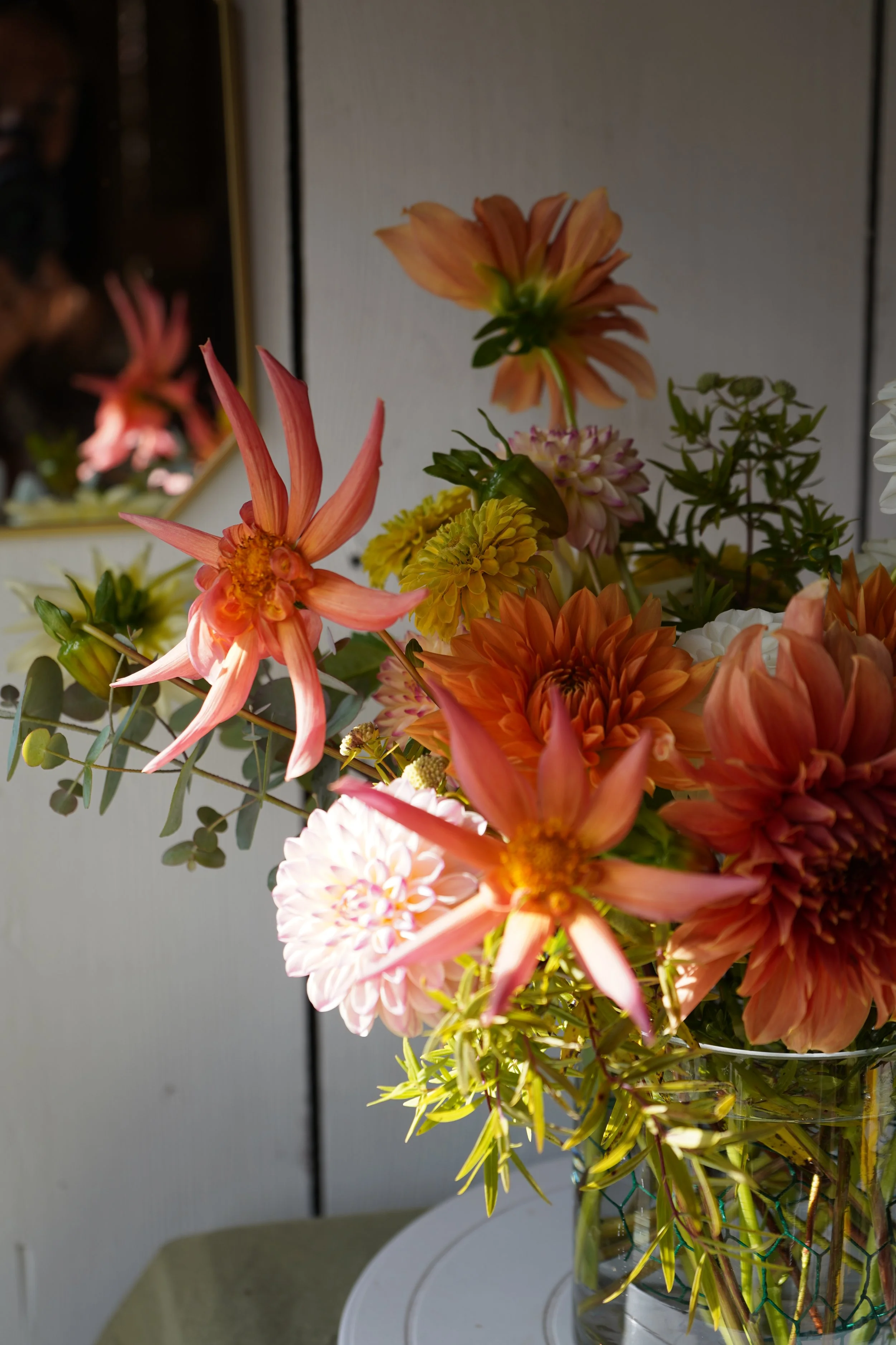 DSC07936.JPG