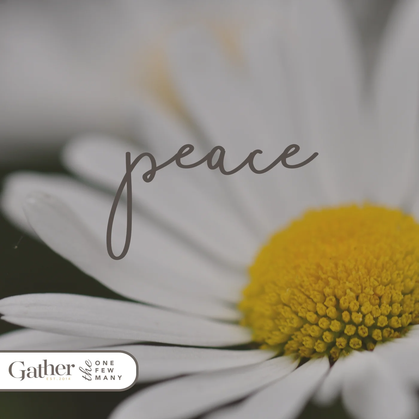 We can always ask Jesus who is the Prince of Peace (Isaiah 9:6