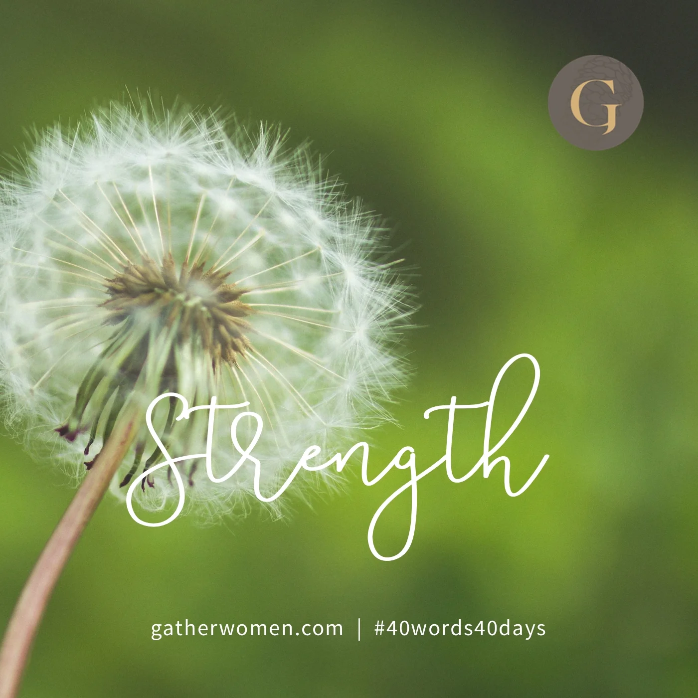 You can be strong in the Lord because you are filled with the Holy Spirit. He is the One who gives power and strength to his people. (Psalm 68:35)