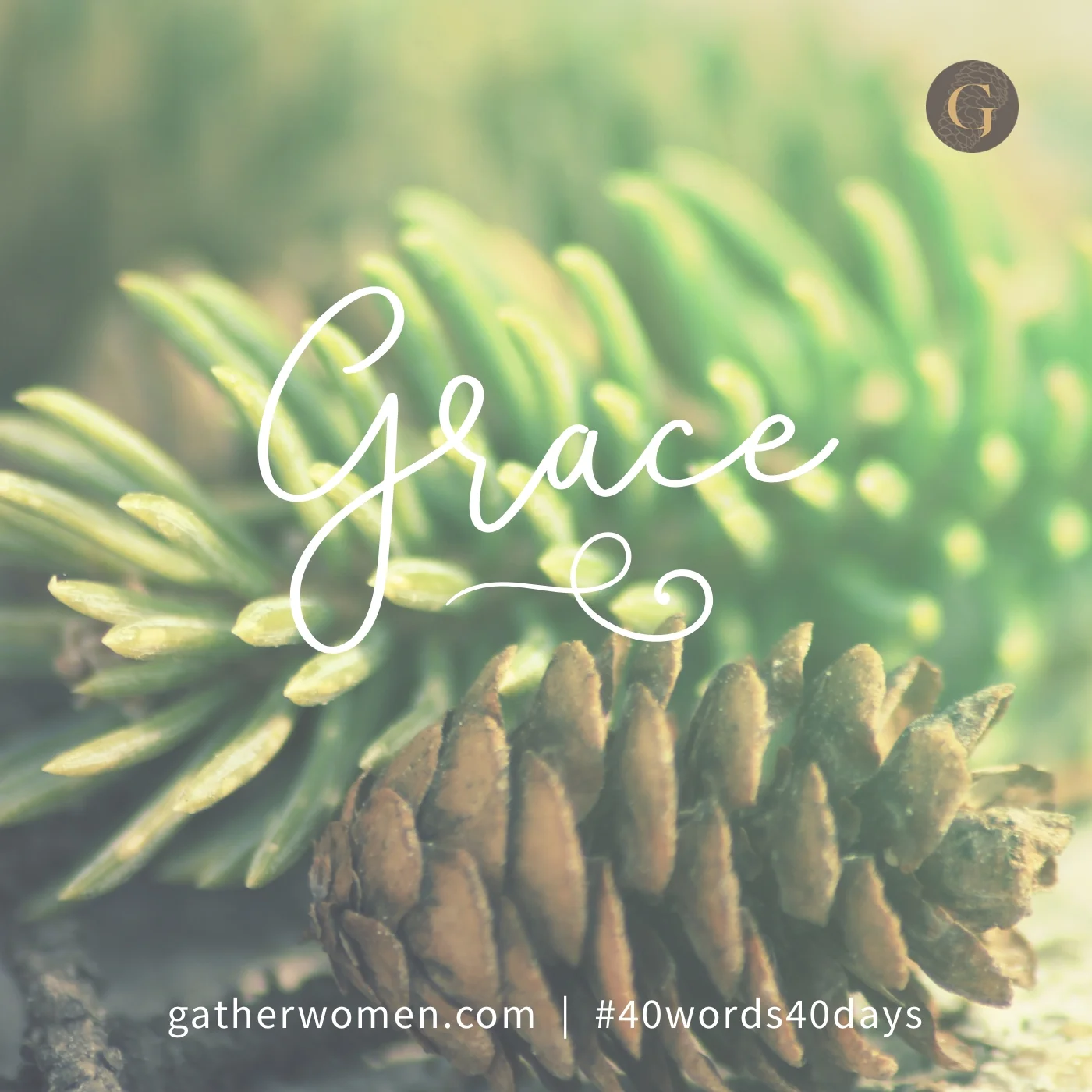 From his fullness we have all received, grace upon grace. John 1:1