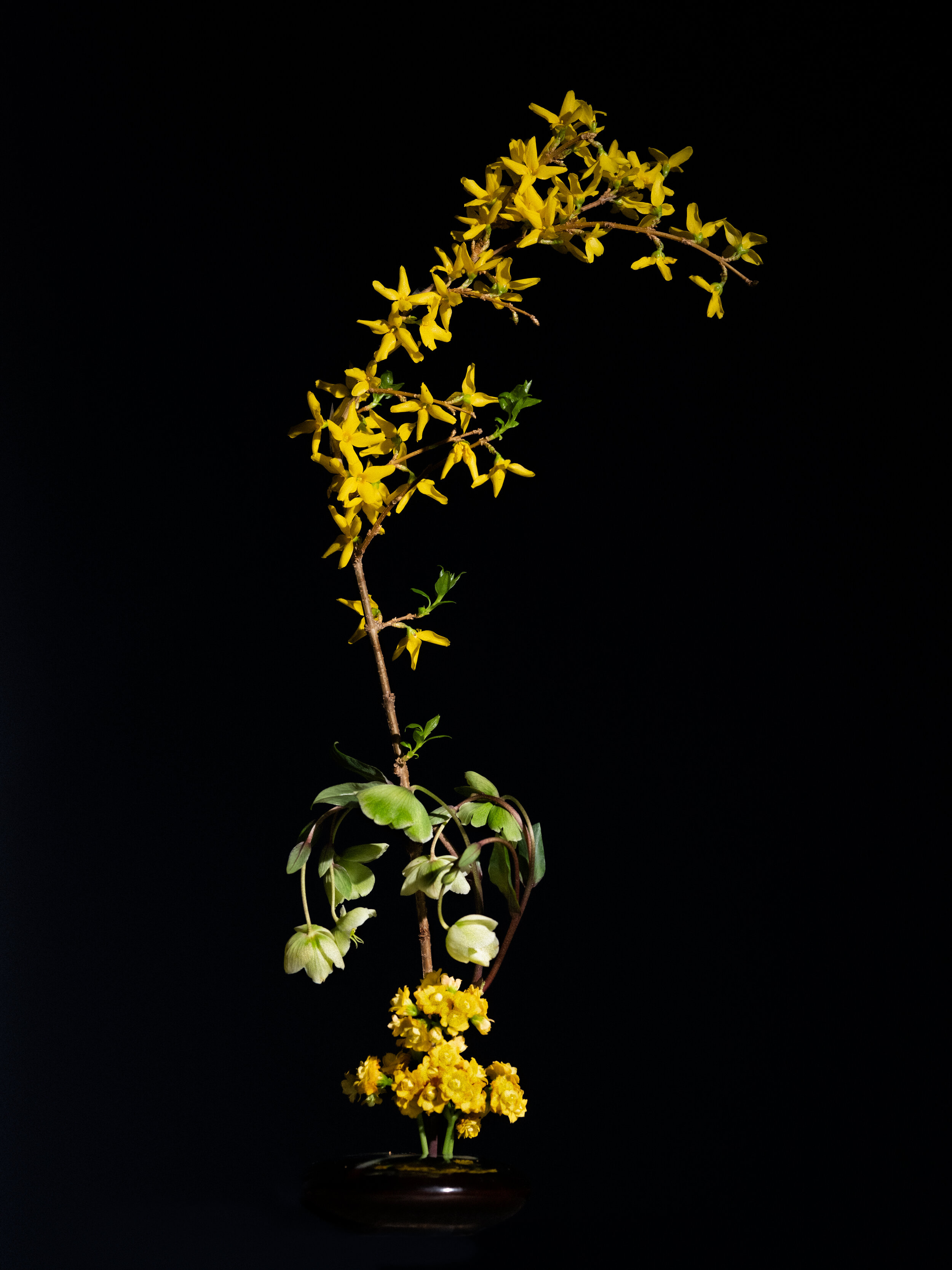 DSCF2556.jpg